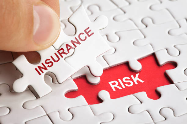 risk management and insurance