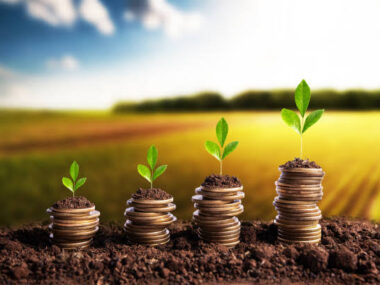 Are There Loans For Farmers In Nigeria