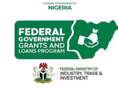 How To Access Government Loans In Nigeria
